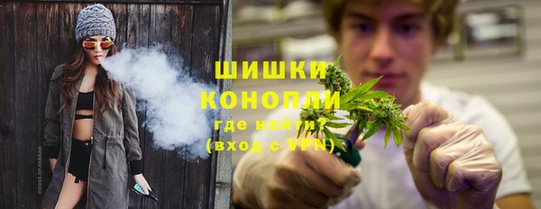стаф Гусь-Хрустальный
