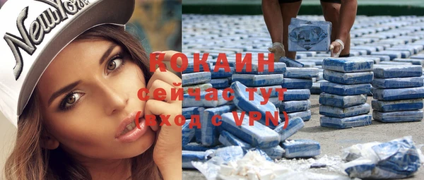 стаф Гусь-Хрустальный