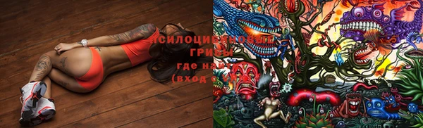 MESCALINE Гусев