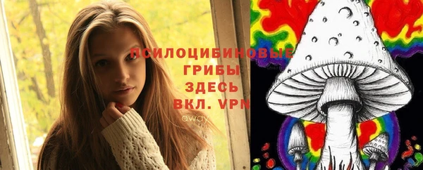 MESCALINE Гусев