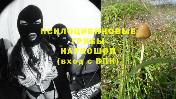гашик Лиски