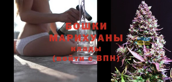 стаф Гусь-Хрустальный