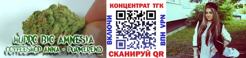 ТГК THC oil  гидра онион  Новохопёрск 
